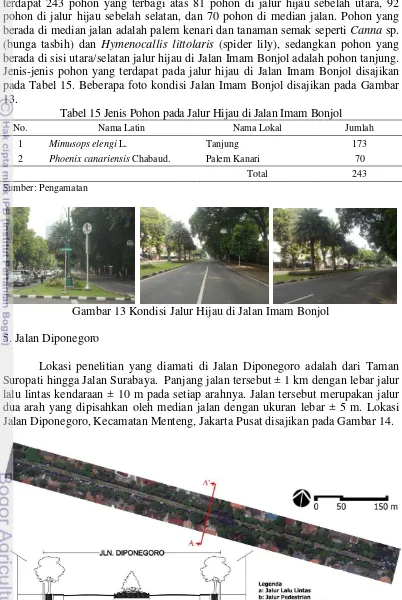 Gambar 13 Kondisi Jalur Hijau di Jalan Imam Bonjol 
