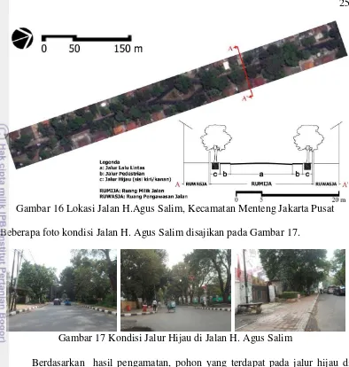 Gambar 17 Kondisi Jalur Hijau di Jalan H. Agus Salim 