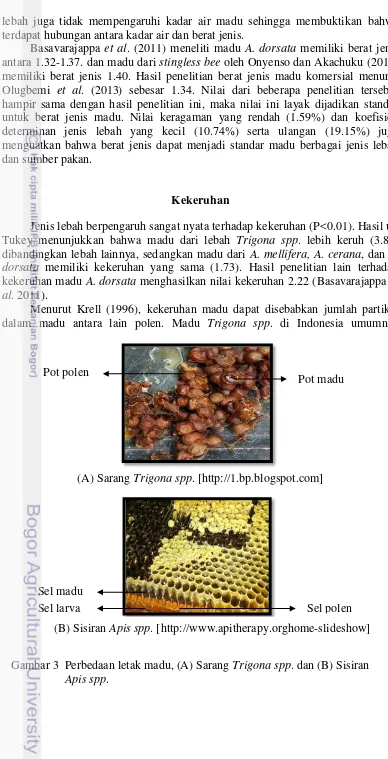 Gambar 3  Perbedaan letak madu, (A) Sarang Trigona spp. dan (B) Sisiran 