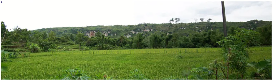 Gambar II-13 Bentang alam karst di Daerah Guwoterus, Kecamatan Montong, Kabupaten Tuban