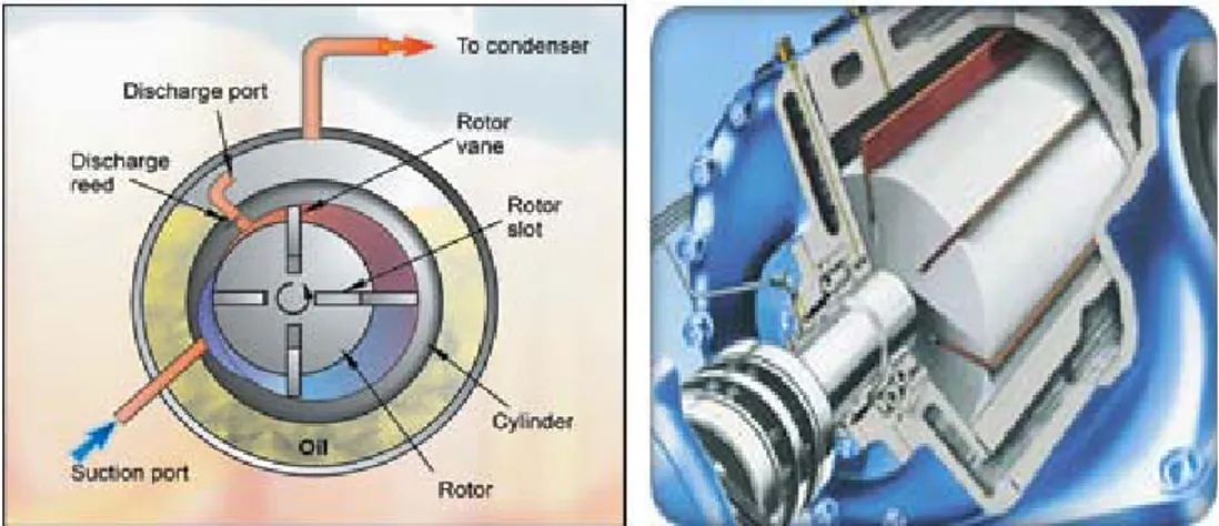 Gambar 2. 4  bagian – bagian kompresor sudu luncur (www.google/Bab-8- (www.google/Bab-8-Kompresor-Rotary1.pdf)