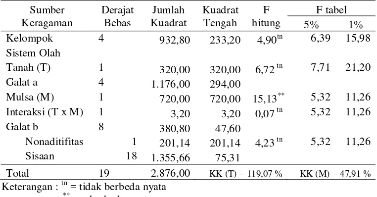 Tabel 19. Hasil pengamatan biomassa cacing tanah (g m-2) akibat sistem olah tanah dan aplikasi mulsa bagas pada pengambilan 12 BSR2