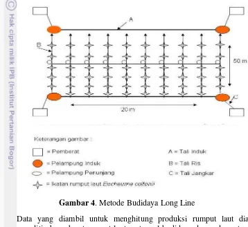 Gambar 4. Metode Budidaya Long Line 