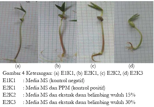 Gambar 3 Histogram tinggi batang dan jumlah akar tanaman kacang hijau 