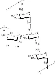 Gambar 1.  Struktur Dextran (Lapasin, 1999) 