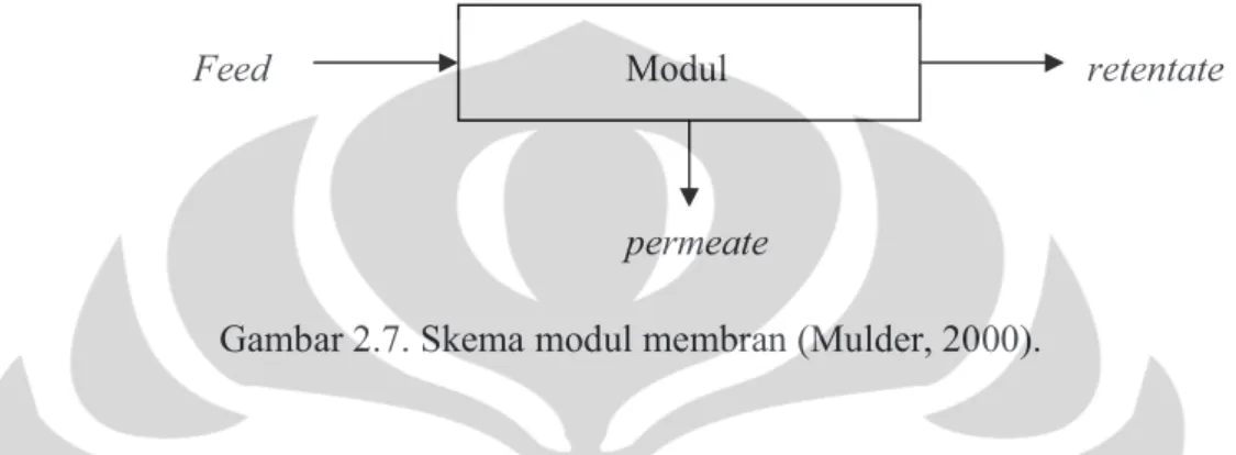 Gambar 2.7. Skema modul membran (Mulder, 2000).  