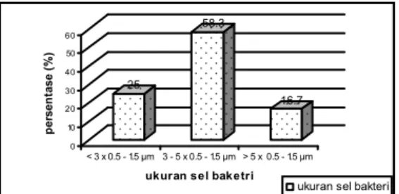 Gambar 5 memperlihatkan rentang ukuran sel berkisar antara 1,5–10 μm dan 0,5–
