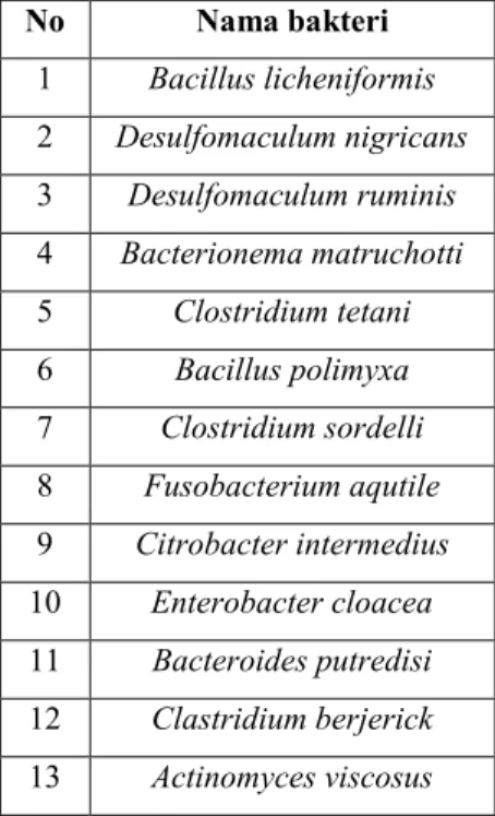 Tabel 4. Uji Biokimia  No  A  B  C  D  E  F  G  H  I  J  K  L  1  -  +  +  +  +  +  +  +  +  +  +  +  2  -  +  +  +  +  +  +  +  -  -  +  -  3  -  +  +  -  +  +  +  +  +  +  +  -  4  +  +  +  +  +  +  +  +  +  +  +  -  5  +  +  +  +  +  +  +  +  +  +  +  +