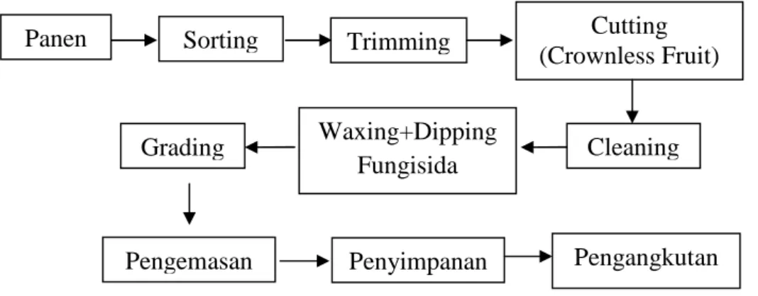 Gambar 2. Diagram proses pascapanen nanas