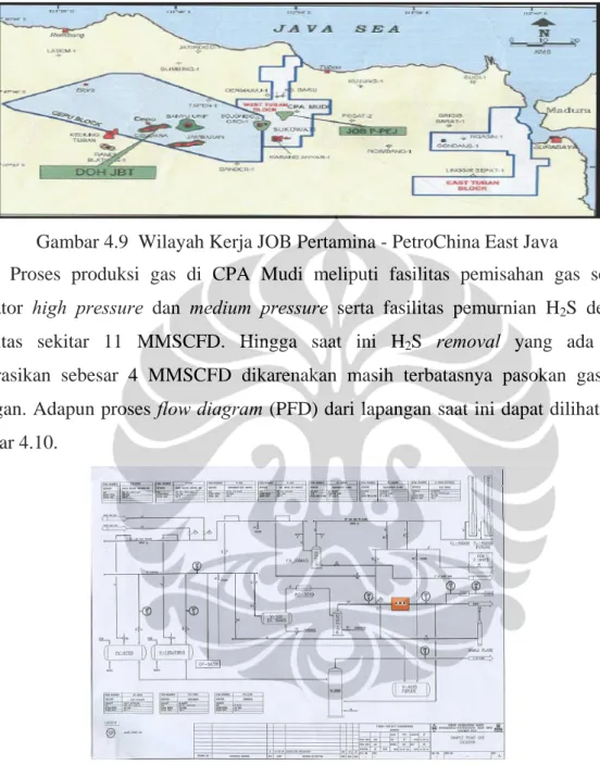 Gambar 4.9  Wilayah Kerja JOB Pertamina - PetroChina East Java 