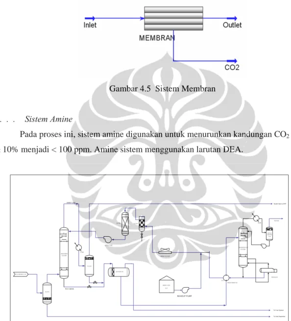 Gambar 4.5  Sistem Membran 