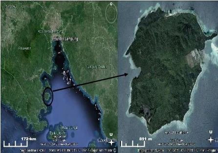 Gambar 1. Peta lokasi Pulau Puhawang Besar (Google Earth, 2013) 