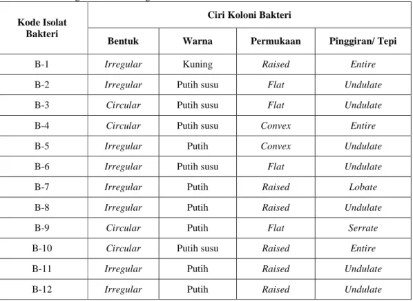 Tabel 4.1 Hasil Pengamatan Morfologi Koloni Bakteri   Kode Isolat 