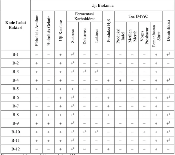 Tabel 4.4 Hasil Pengamatan Uji Biokimia Bakteri