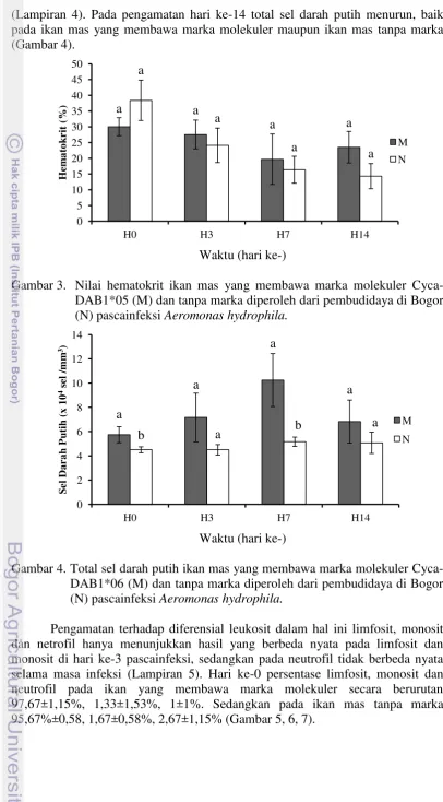 Gambar 3.  Nilai hematokrit ikan mas yang membawa marka molekuler Cyca-