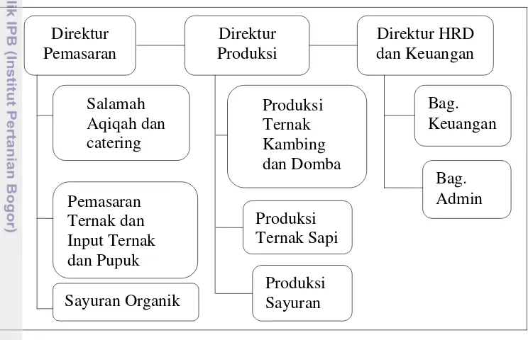 Gambar 4  Struktur organisasi CV. Mitra Tani Farm 