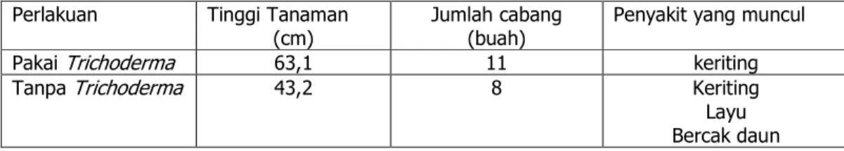 Tabel 1.  Pengamatan  Tanaman  Cabai pada Demplot Umur 60 Hari  Perlakuan  Tinggi Tanaman 