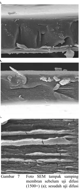 Foto SEM tampak samping membran hasil  uji difusi ke-2 (Gambar 7b) juga tidak  memperlihatkan adanya pori
