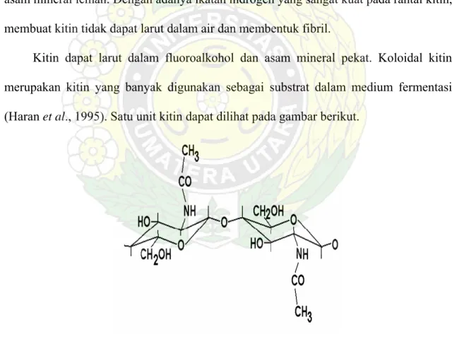 Gambar 1. Unit kitin (Cabib, 1987). 