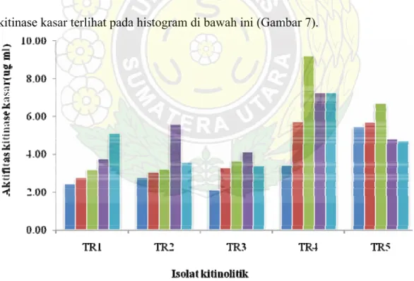 Gambar  7.   Pengaruh suhu terhadap kitinase total bakteri termofil Tinggi Raja 