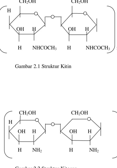 Gambar 2.1 Struktur Kitin 
