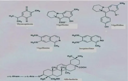 Gambar 3 Struktur Kimia SenyawaNigella sativa(sumber : Ali &amp; Blunden,2003) 