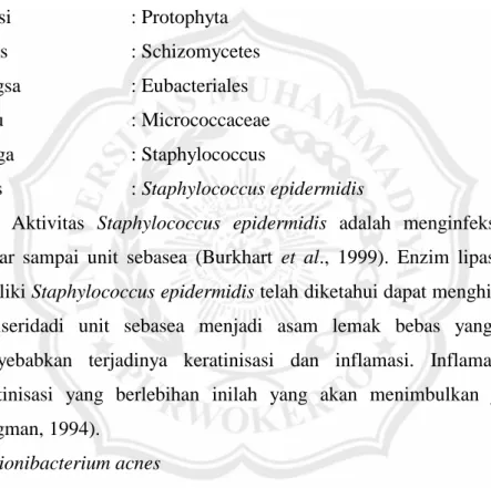 Gambar 2. Staphylococcus epidermidis (Anonim a , 2000). 