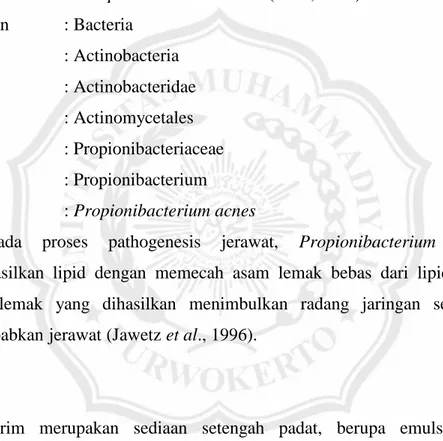 Gambar 3. Propionibacterium acnes (Anonim b , 2000) 