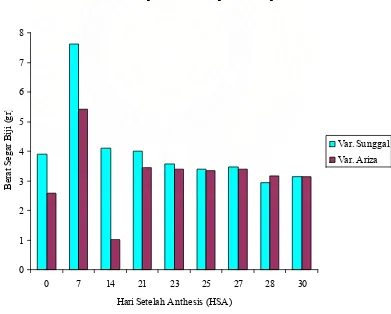 Gambar 1. Pertambahan Berat Basah Biji Pada Tanaman Padi Varietas Sunggal dan Varietas Ariza  mulai dari 0-30 HSA 