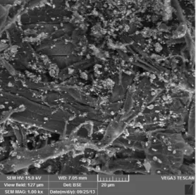 Gambar  7.  Pola  XRD  sampel  C  (sintesis  nanopartikel  perak  dengan  penambahan PAA 1%)