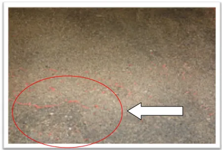 Gambar 2. Hasil Cetakan Kertas Dengan Tekstur Halus 