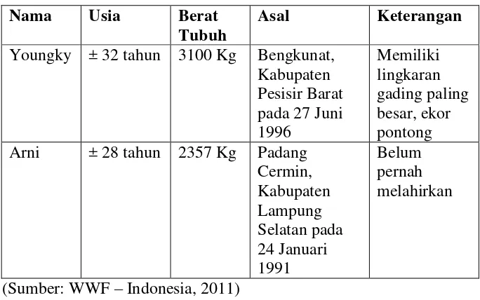 Tabel 1. Data gajah penelitian di Resort Pemerihan, TNBBS 