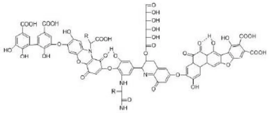 Gambar 2.1 Struktur Molekul Asam Humat 