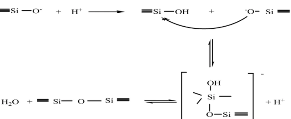 Gambar 3.  Model mekanisme reaksi pembentukan ikatan siloksan pada proses                  pembentukan jaringan gel