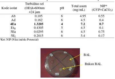 Tabel 2  Kekeruhan sel dan produksi asam bakteri asam laktat terpilih  