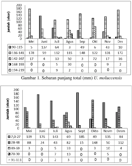 Gambar 2. Sebaran berat total (g) U. Moluccensis  Tabel 1. Pola pertumbuhan dan faktor kondisi U