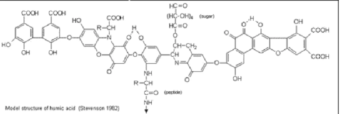 Gambar 7. Struktur hipotetik dari asam humat 