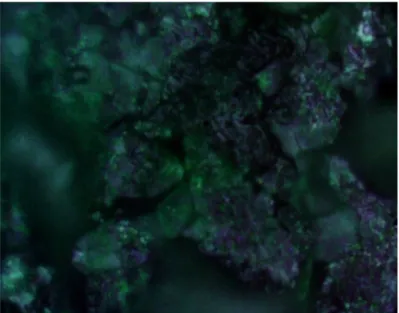 Gambar 5c.  Foto Mikroskop Baja Karbon Setelah Pemaparan dengan Larutan  HCl 1 M dengan Penambahan Tiourea 500 ppm dalam Waktu  Pemaparan 30 Jam dan Suhu 30 o C 