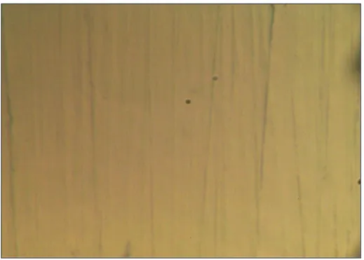 Gambar  5.  Foto  Mikroskopi  dengan  Perbesaran  1000  Kali  pada  Permukaan  Sampel Baja Karbon API 5L X65 Sebelum Pemaparan (Blanko)