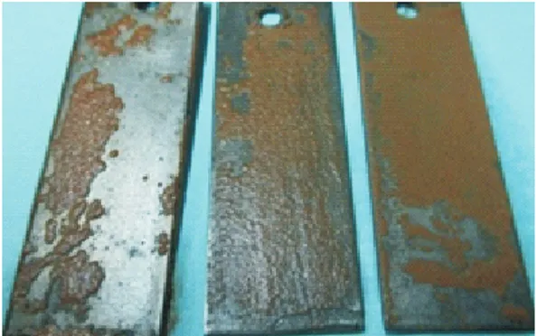 Gambar  8  menunjukkan  bahwa  permukaan  logam baja karbon pada kondisi awal (a), 10  hari  (b),  dan  13  hari  (c),  mengalami  perubahan