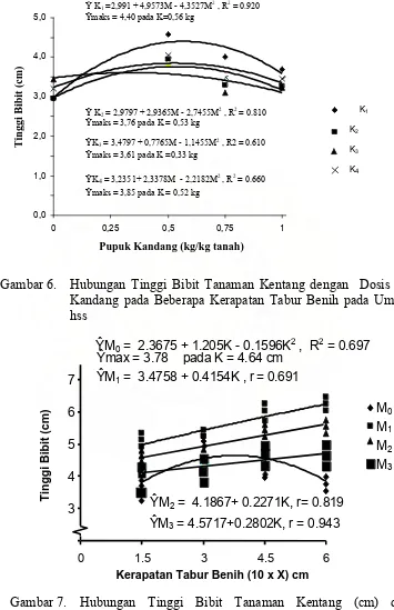 Gambar 7.  Hubungan Tinggi Bibit Tanaman Kentang (cm) dengan  Kerapatan Tabur Benih (cm) pada Beberapa Dosis Pupuk Kandang  (kg/kg tanah) pada Umur 33  hss 