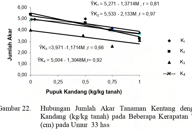 Gambar 22.  Hubungan Jumlah Akar Tanaman Kentang dengan  Pupuk 