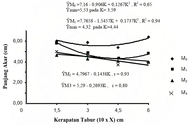 Gambar 25.  Hubungan Panjang Akar  (cm) dengan  Kerapatan Tabur Benih (cm) pada Beberapa  Dosis   Pupuk  Kandang  (kg/kg tanah) pada  Umur    29  hss 