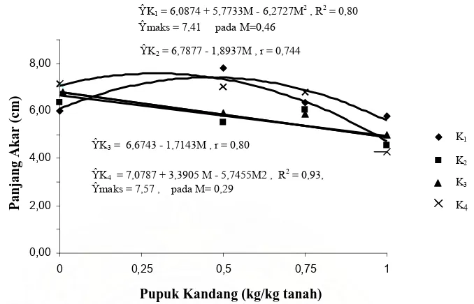 Gambar 28. Hubungan Panjang Akar Tanaman  (cm) dengan  Pupuk Kandang  (kg/kg tanah) pada  Beberapa  Kerapatan  Tabur  Benih  (cm) pada  Umur  33  hss 