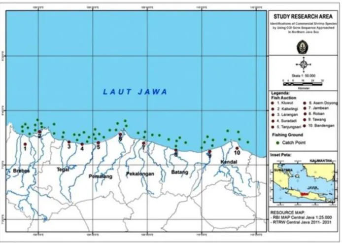 Gambar 1. Peta Lokasi Sampling   .