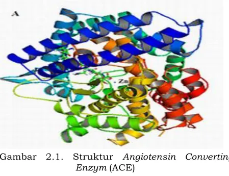Gambar 2.1.  Struktur  Angiotensin Converting  Enzym (ACE) 