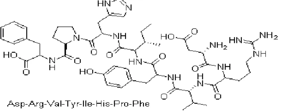 Gambar 2.3. Struktur molekul angiotensin II 