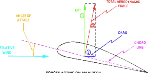 Figure 2.4: Aerodynamic Principles (Dynamic Flight, 2008) 