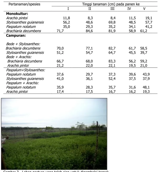 Tabel 8. Tinggi tanaman 4 spesies TPT yang ditanam tahun 2012 pada pemanenan I                 sampai V untuk pertanaman monokultur dan campuran 