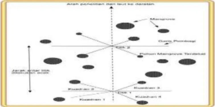 Gambar 1. Metode Point-Centered Quarter Method (PCQM)                     (Bakus 2007 ; Setyobudiandi 2009) 